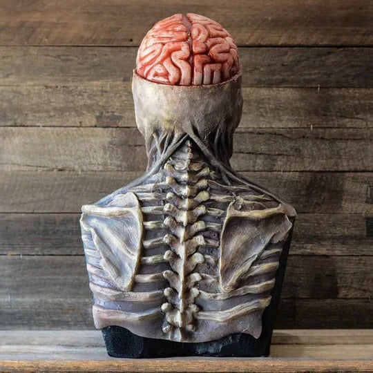 MASCARA DE HALLOWEN DE ESQUELETO  Y CEREBRO COMPLETO